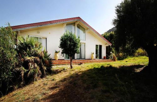 La Gabbianella E Il Gatto - Foto 9