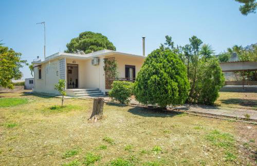 Country House - Foto 28