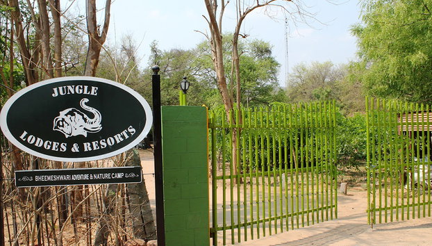 Cauvery Fishing Camp - Private Tour - Foto 3