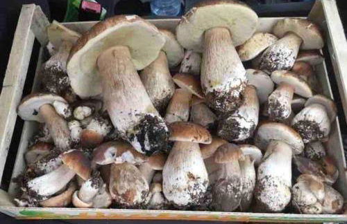 Le hameau de Donnedevie - Foto 6