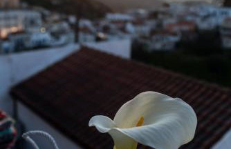 Sunset Suite Elena - Photo 43