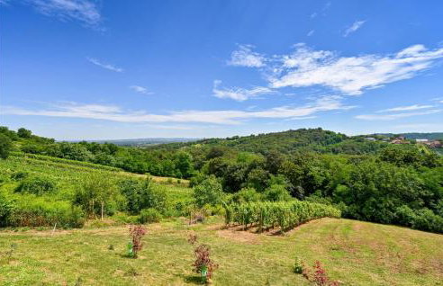 Amazing Home In Grabrovnik With Sauna - Foto 18