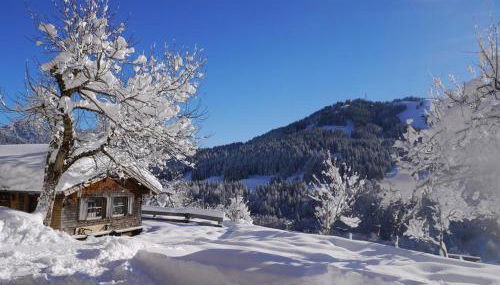 Ferienhof Almfrieden - Photo 5