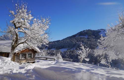 Ferienhof Almfrieden - Photo 5