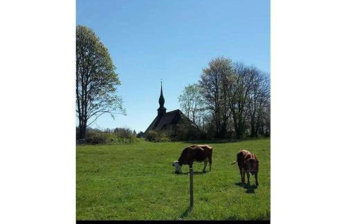 Country house on the Dachsberg - Foto 30