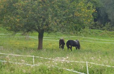 Chaumière 6-8p, 4ch, proche Honfleur - Foto 76