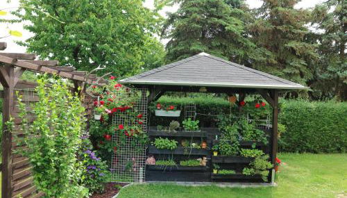 Ferienwohnung Nordstadt - Foto 2, Garden view