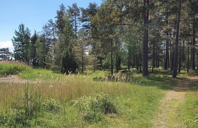 Well-equipped Beachside Cottage - Foto 58