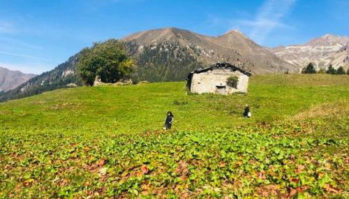 casa della neve - Foto 3