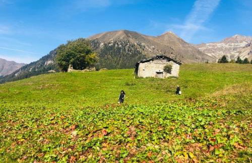 casa della neve - Photo 3