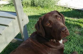 La Pomella - Foto 12