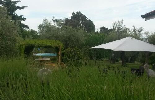 il Fienile di Penelope - Foto 13