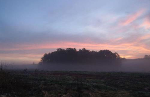 Wald-Apartment - Foto 61