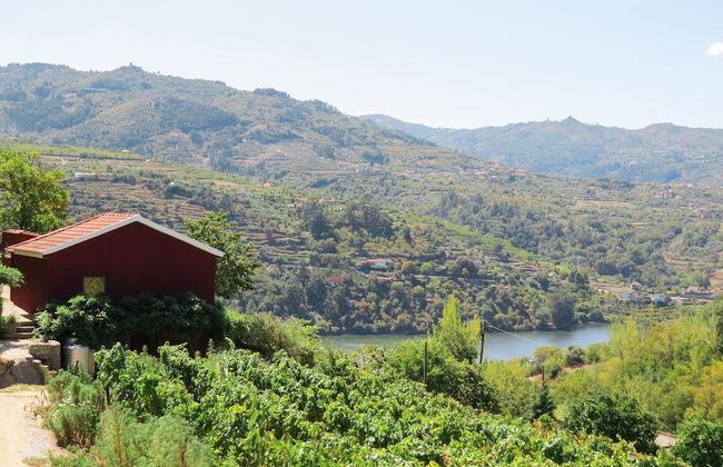 Casa da Mouta - Douro Valley - Foto 23