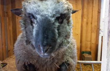 Ferienwohnung am Schneeberg - Foto 60