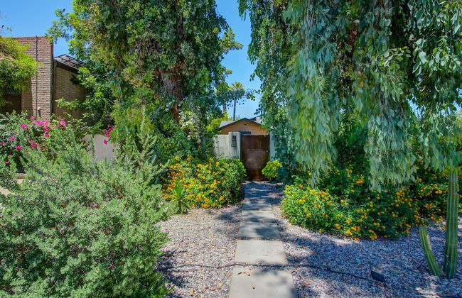 Arcadia 6BR Paradise Pool Hot Tub Cold Plunge - Foto 64