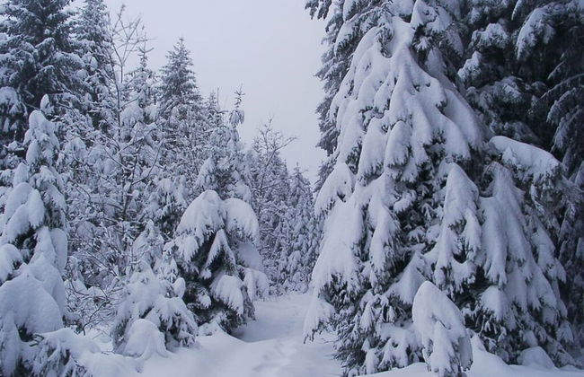 Bodenschneid Suites \"wallbergblick\" - Photo 26