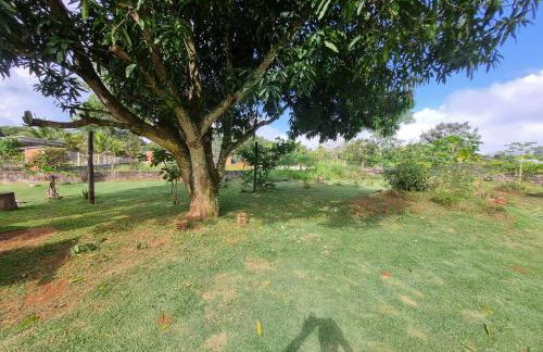 Chácara Cantinho dos Sonhos - Foto 64