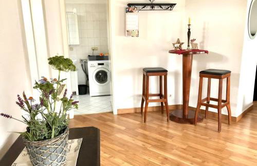 Über den Dächern der Löbervorstadt - Foto 8