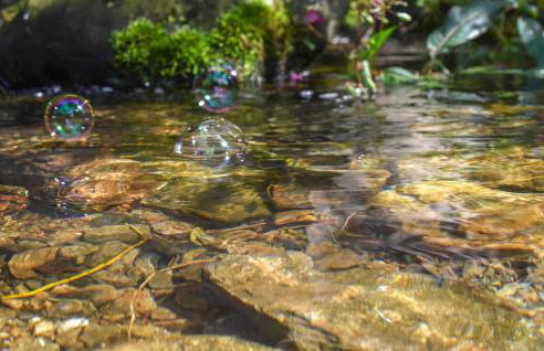Ferienwohnung Schwarzenberg - Foto 17