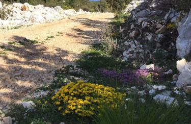 Apartman ELLA - Foto 36