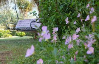 Sunny Garden - Foto 41