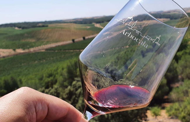 Palacio de Villachica Winery Tour - Photo 7