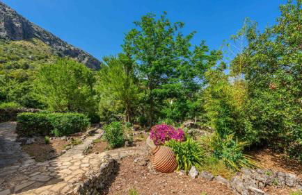 Cortijo y Estudio Montecorto by Ruralidays - Foto 33