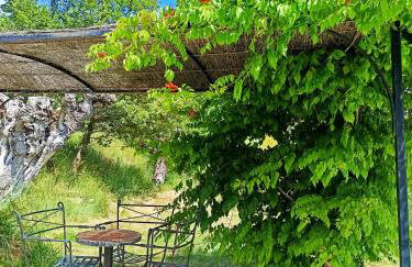 Domaine Provençal "Le Timon" - Foto 27