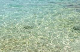 APPARTMENTS SARA - Photo 8