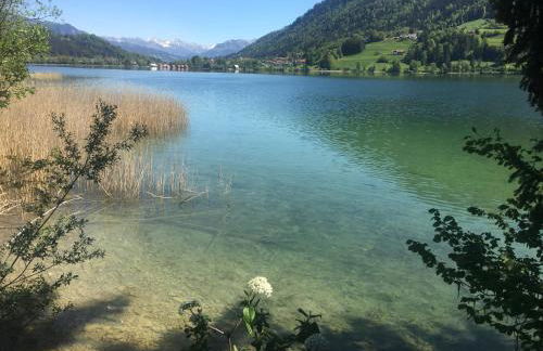 weitnaustyle - renoviert, modern, allergikerfreundlich - Photo 27