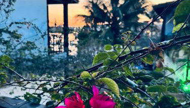 Le Corsaire, 38 - Foto 3