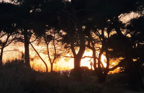 La casa rosa - Foto 10