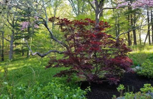 Harvard House-The Gathering Place - Foto 6