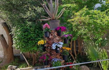 Domaine des Palmiers - Foto 19