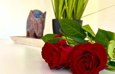 FEWOHOME Lothe Schieder Schwalenberg Schiedersee - Foto 56