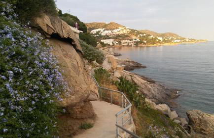 FONOLL MARÍ - ROSES FAR - Photo 12