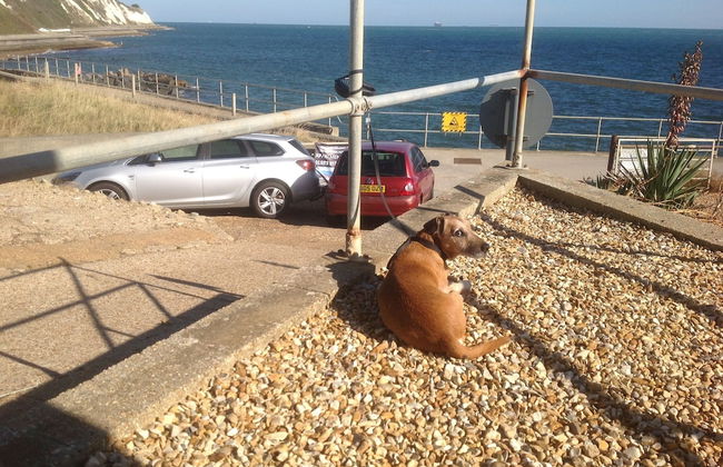 Ventnor Holiday Villas - Foto 7