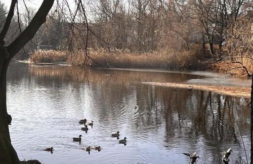 Private Modern 1st Flr 3 Bed Apt Close to Downtown - Foto 34