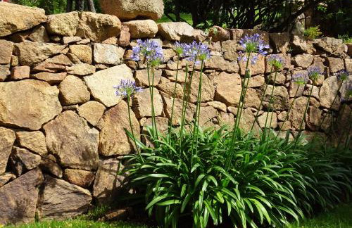 Villa Babsy con piscina privata - Foto 7