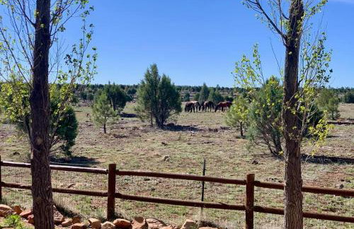 Cabin with Wild Horses, Fireplace, Dog Friendly & StarLink - Foto 37