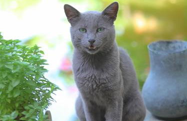 Venetis Luxury Apartments - Photo 7