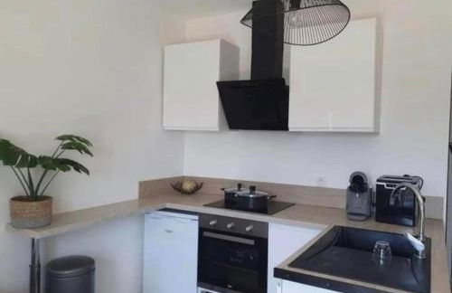 Magnifique T2 jacuzzi piscine - Foto 13