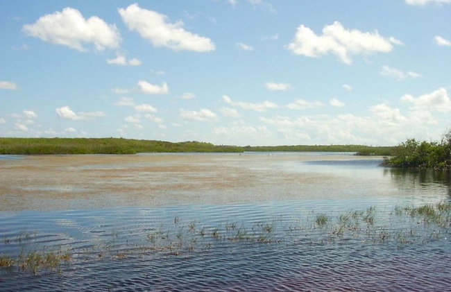 Buttonwood Reserve 1D - Foto 22