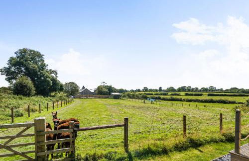 Fferm Fach by Birch Stays - Foto 42