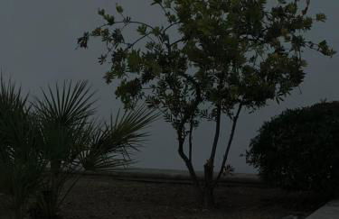 VILLA IOLANDA apartments - Foto 26