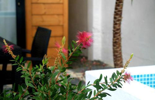 205 Serenity - Foto 62