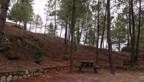 Casa da avo Rita - Foto 2