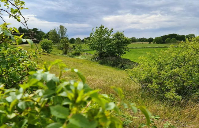 6 Person Holiday Home in Bastad-by Traum - Foto 19