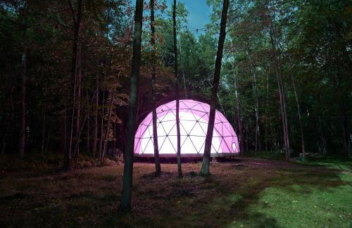 Incredible Spacious Dome for A Group Glamping Experience Surrounded by Nature in Woodridge, New York - Foto 9
